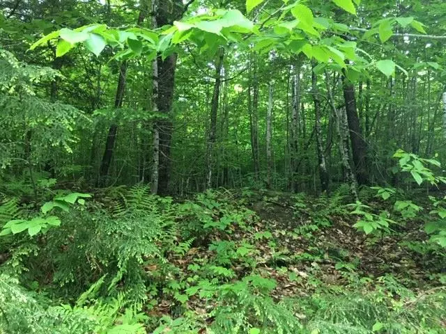 Lot 6E Moose WAY, Kingsbury Plt, ME 04942