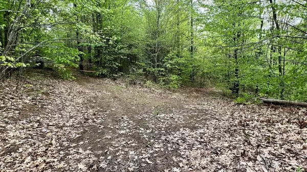 Norridgewock, ME 04957,Lot 1-1 Madison RD