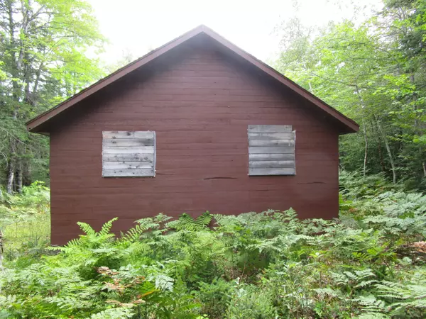 Maxfield, ME 04448,tbd Randall Ridge Road