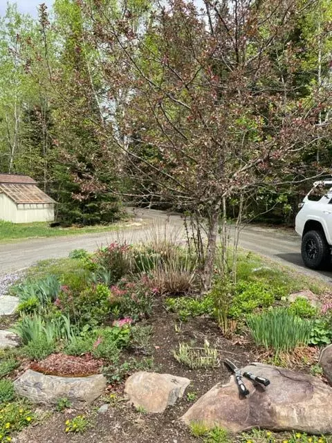 Greenville, ME 04441,16 Bushey RD