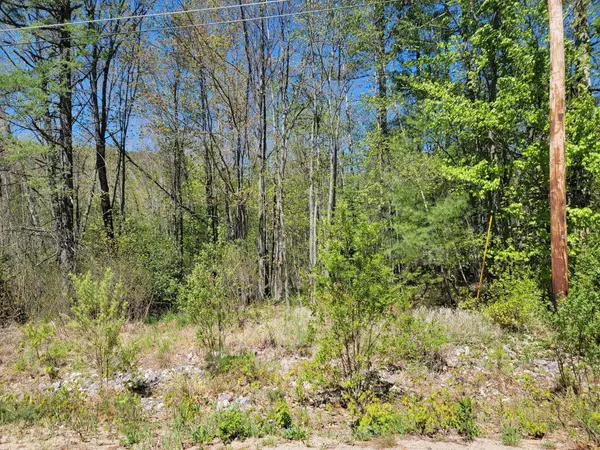 Woodstock, ME 04219,lot 5 Gore RD