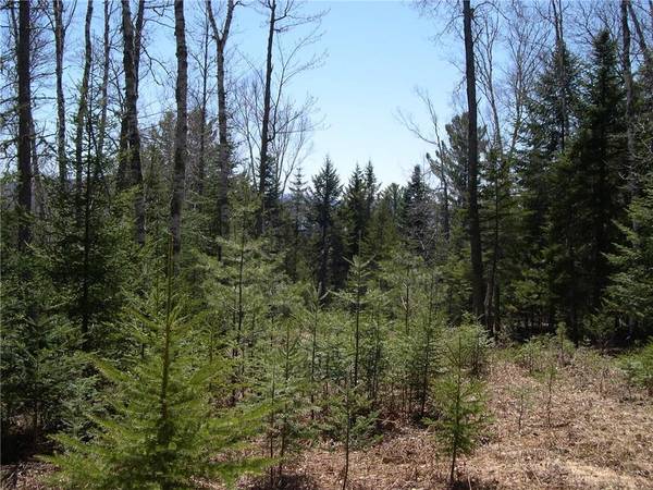 Lot 5 Manor Woods RD, Rangeley, ME 04970