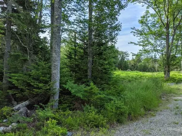 Vinalhaven, ME 04863,0A Cripple Creek RD