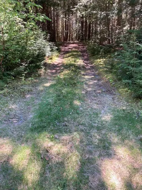 Northfield, ME 04654,0 Two Lakes DR