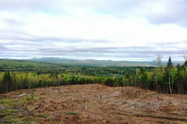 Lot 7 Alpine RDG, Greenville, ME 04441