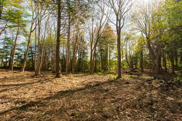 South Thomaston, ME 04858,M10 15-4 Waterman Beach RD