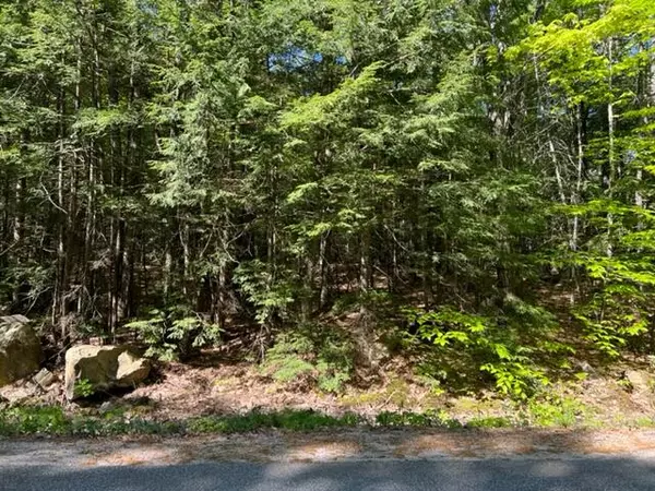 Denmark, ME 04022,TBD Bush Row RD