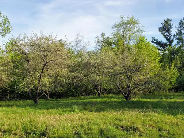 Phillips, ME 04966,434 Toothaker Pond RD