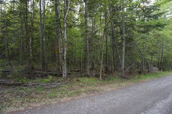 Greenville, ME 04441,P/O 63-A Ridge Parkway