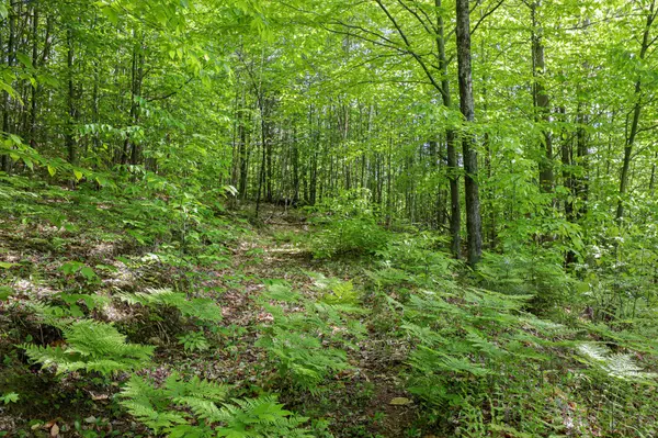 Peru, ME 04290,0 Brown Hill RD