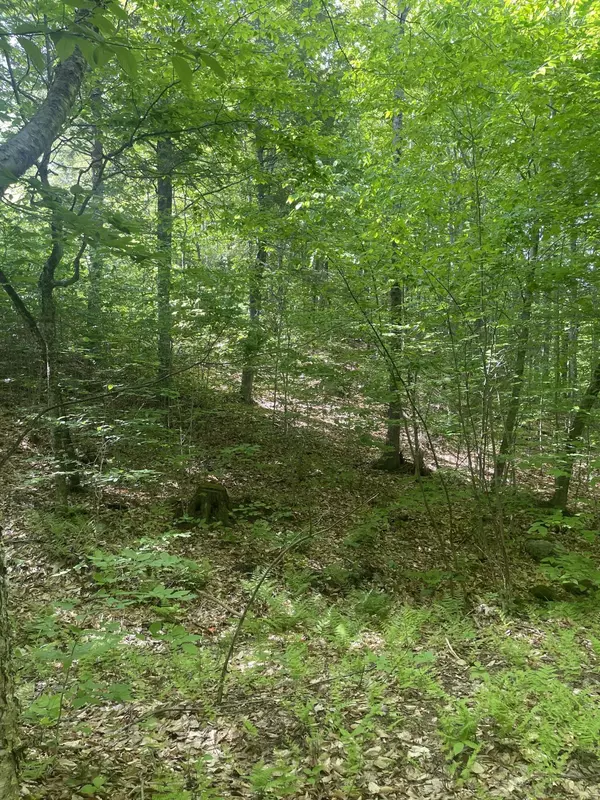 Winthrop, ME 04364,0 Route 133 RD W