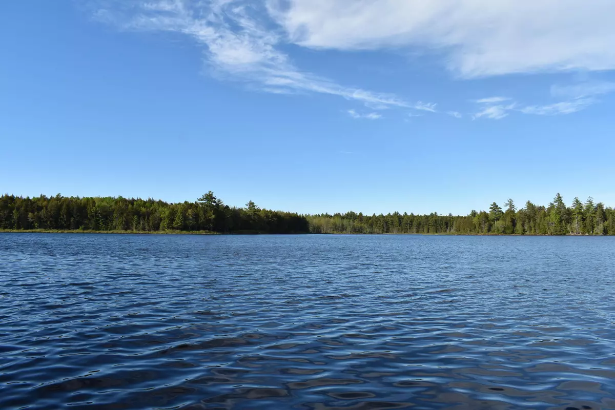 Lakeville, ME 04487,5 Acres Horseshoe Lake RD