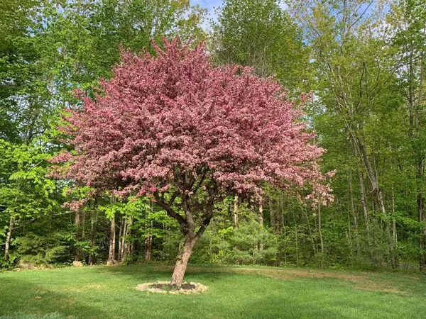 Poland, ME 04274,328 Johnson Hill RD