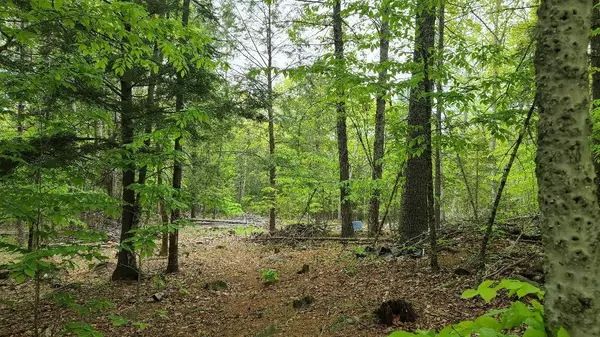 Orland, ME 04472,48 Glory DR