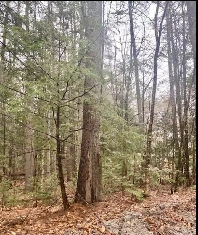 Waterboro, ME 04061,0 Arcadia DR