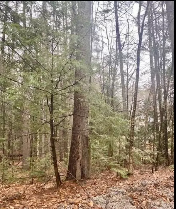 0 Arcadia DR, Waterboro, ME 04061