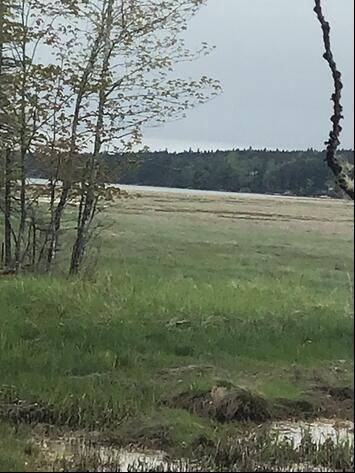 Lot 14 West Bay RD, Gouldsboro, ME 04607