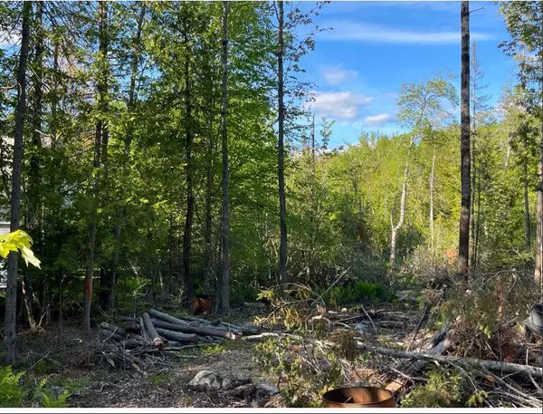 00 Hoxie Hill RD, Orrington, ME 04474