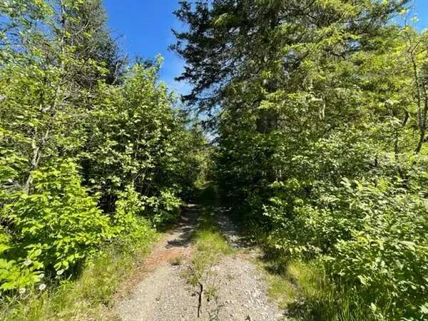 Trescott Twp, ME 04652,51 Greenhouse RD