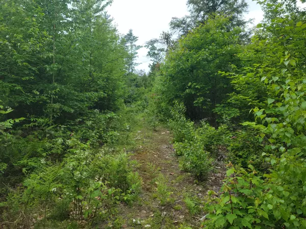 Mechanic Falls, ME 04256,M9 Lot2 Jordan RD