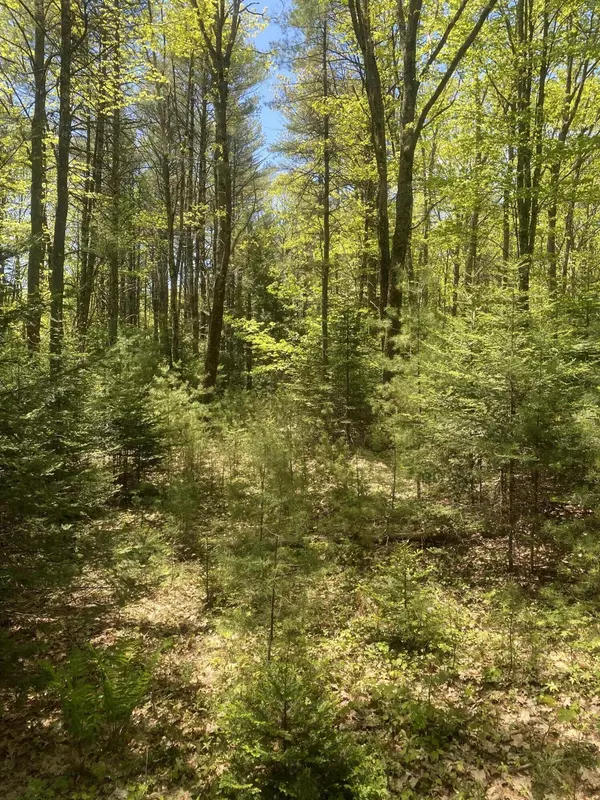 Freeport, ME 04032,00 Turning Leaf LN