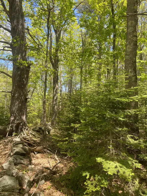 Freeport, ME 04032,00 Turning Leaf LN