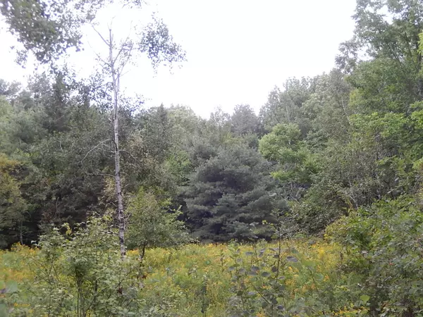 Freedom, ME 04941,1057 N Palermo RD