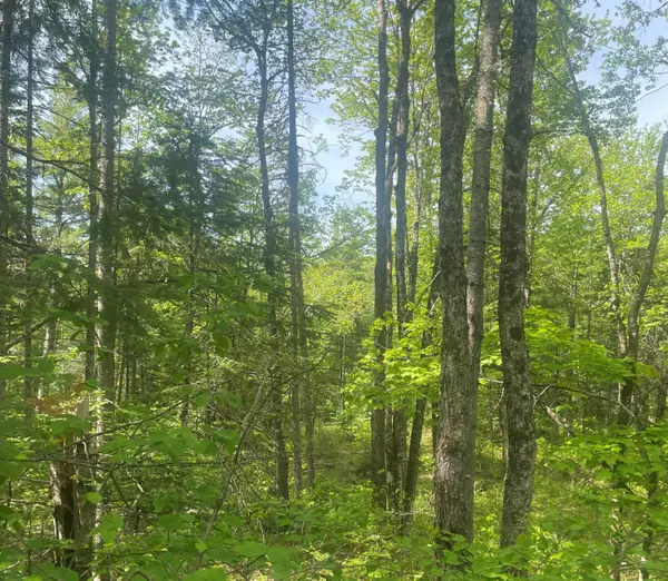 Norridgewock, ME 04957,M25 Lot 34 Old Schoolhouse RD