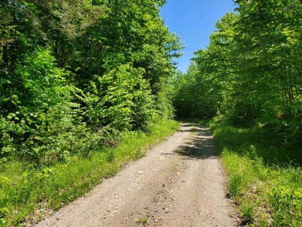 Lot 46 Doane RD, Carroll Plt, ME 04487