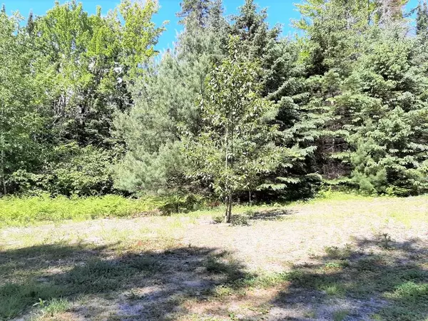 Kingfield, ME 04947,513 W Kingfield RD