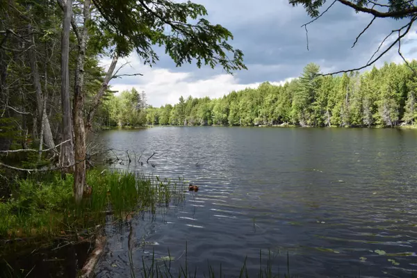 Lot 3 Run-Around LN, Howland, ME 04448