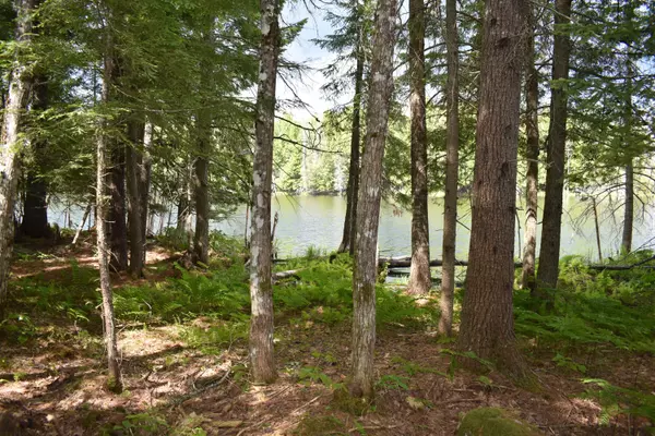 Howland, ME 04448,Lot 3 Run-Around LN