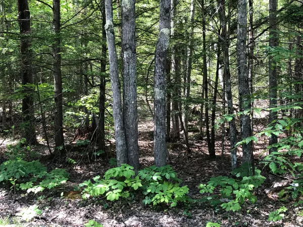 Lovell, ME 04051,R8 Lot37E Old Waterford RD