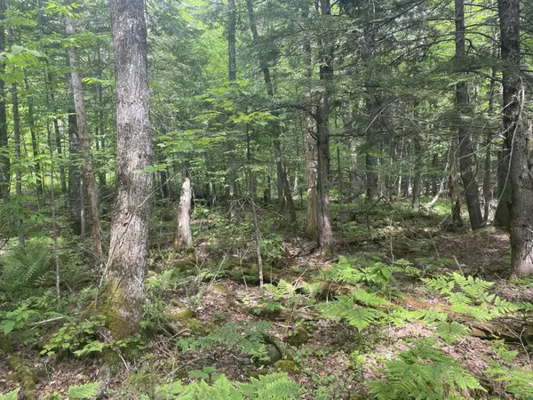 Vienna, ME 04360,M6 L30 Vienna RD