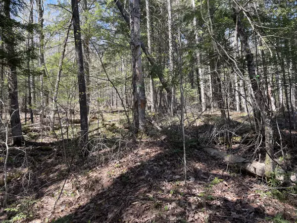 Vienna, ME 04360,M6 L30 Vienna RD