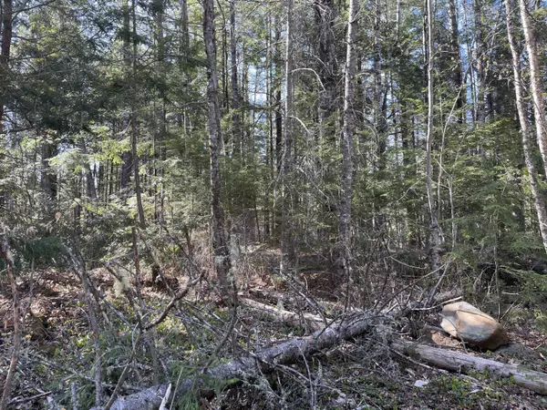 Vienna, ME 04360,M6 L30 Vienna RD