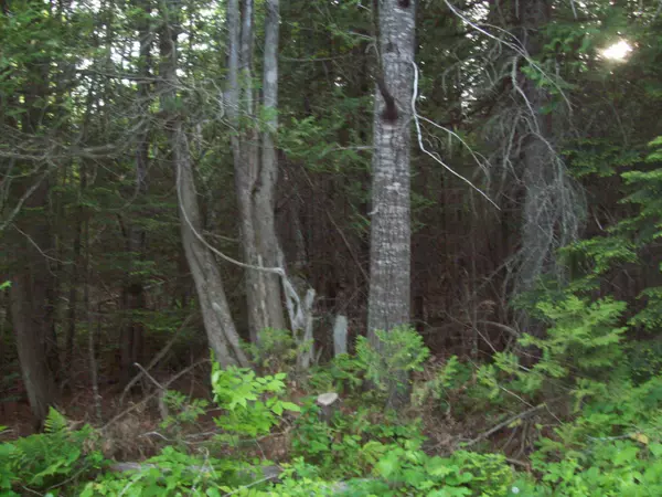 Lee, ME 04455,63 Old Steamboat Road