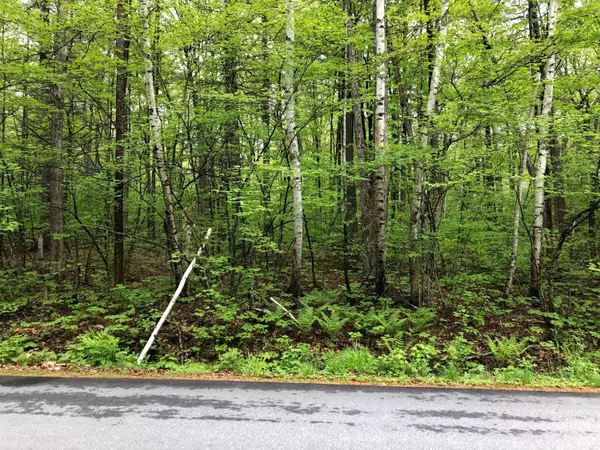 Standish, ME 04084,Lot 6 Perimeter ST