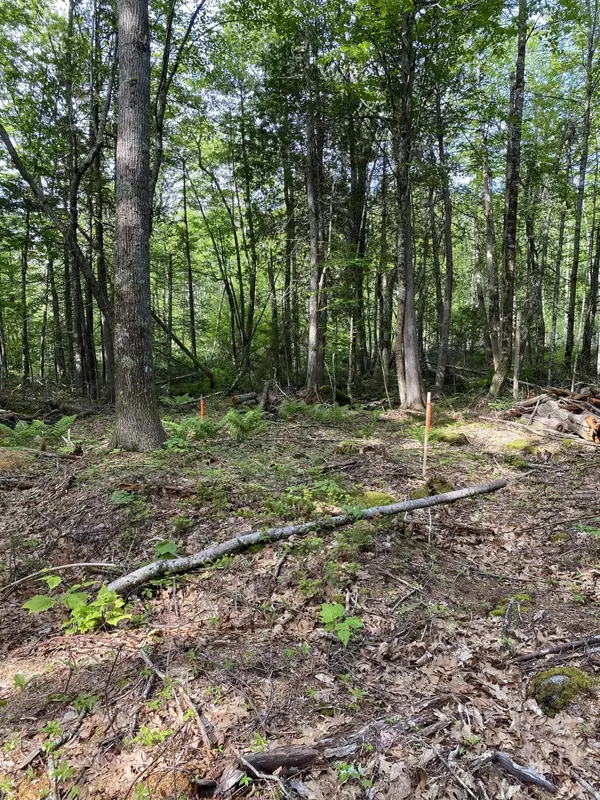 Orland, ME 04472,0 Acadia HWY