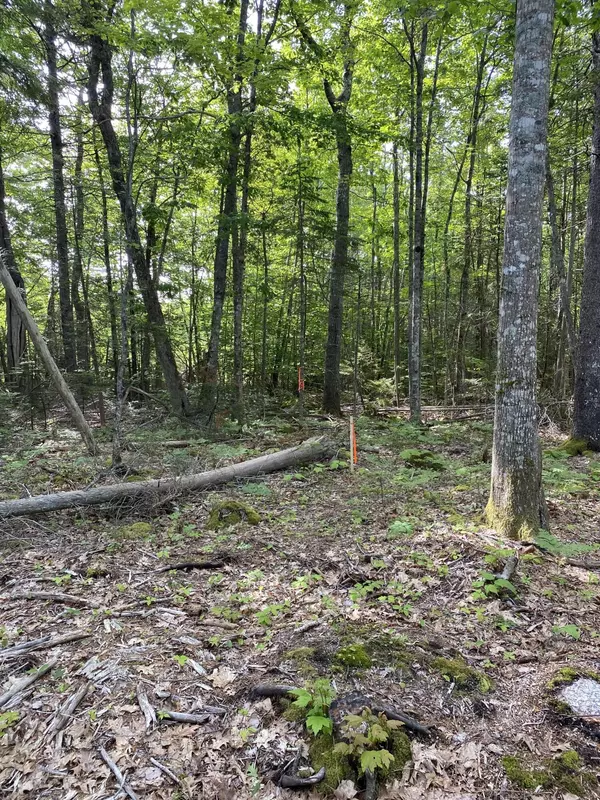 Orland, ME 04472,0 Acadia HWY