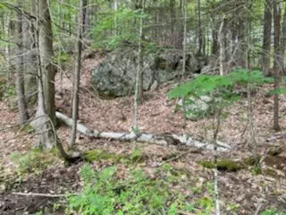 Parsonsfield, ME 04047,0 Cramm RD