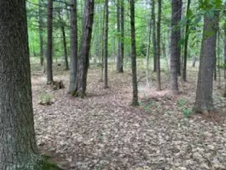 Parsonsfield, ME 04047,0 Cramm RD