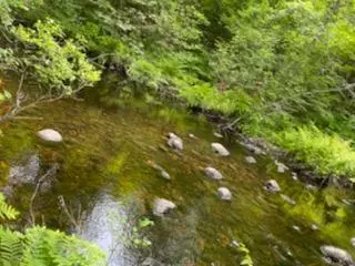 Parsonsfield, ME 04047,0 Cramm RD