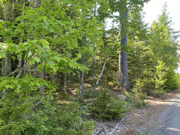 Whiting, ME 04691,Lot 2.2 Reynolds Brook Road