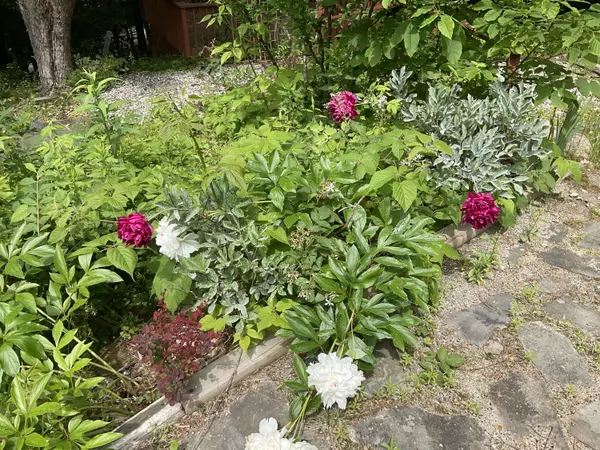 Naples, ME 04055,33 Shaw Hill RD