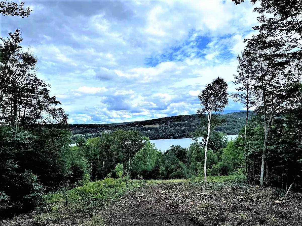 Rangeley Plt, ME 04970,Lot 8A & B Curley RD