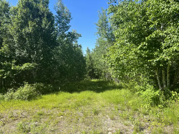 East Machias, ME 04630,0 Cottage Road