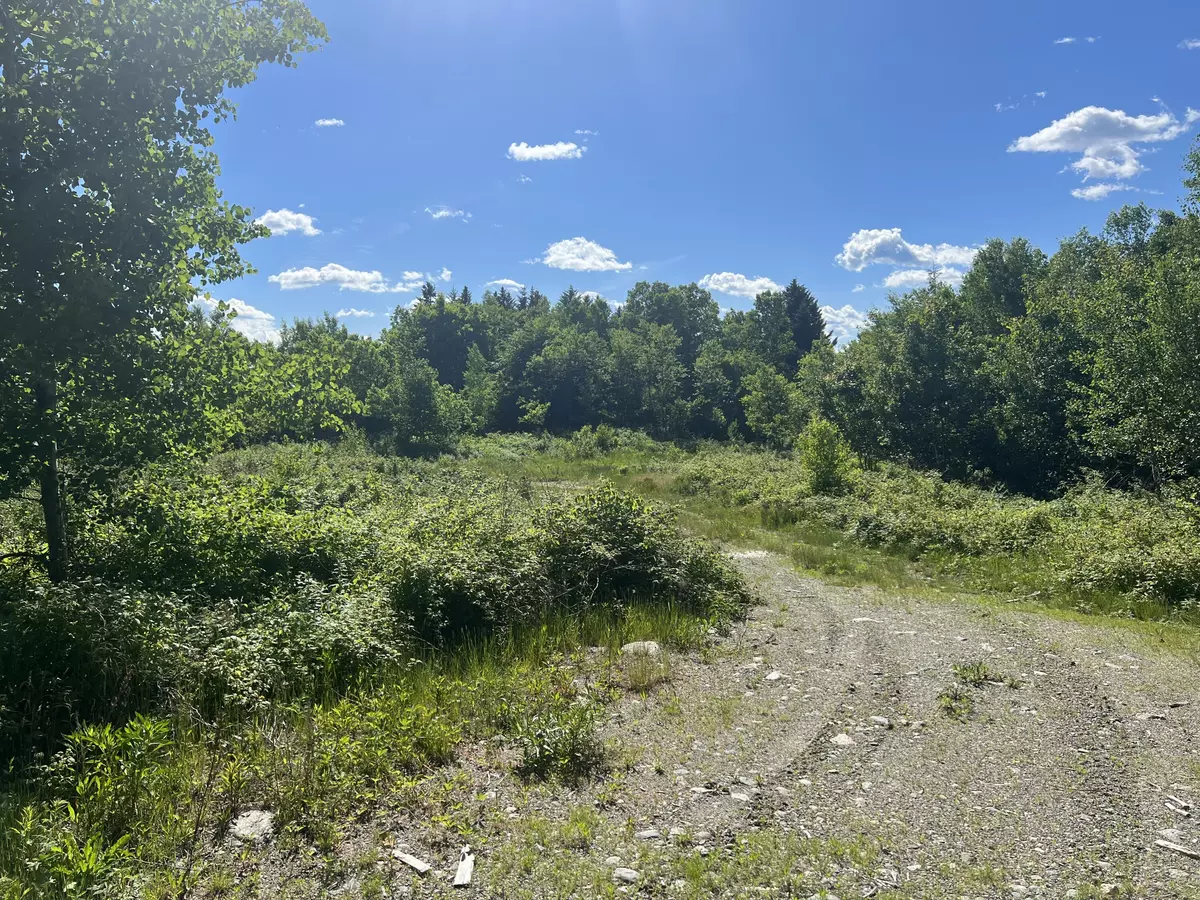 East Machias, ME 04630,0 Cottage Road