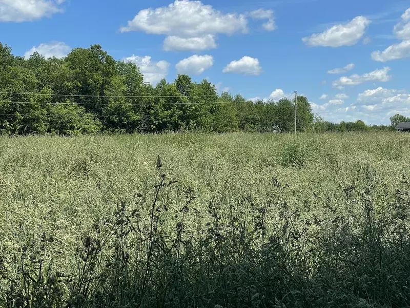 Lot 4 Harris RD, Charleston, ME 04422