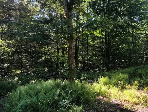 Bowerbank, ME 04426,0 Flag Cove Road RD